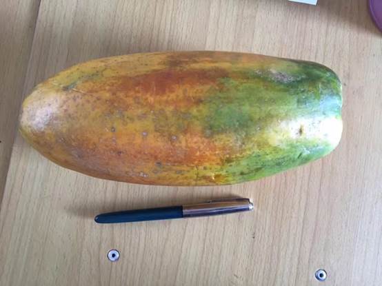 說明: 141_32063_b58f9bc31cb0390