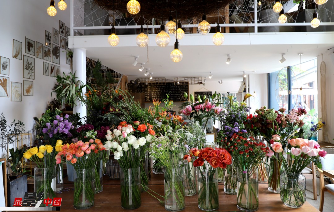 從決定從事鮮花這個(gè)行業(yè)以來(lái)，王黎媛花了很多的時(shí)間和精力去學(xué)習(xí)花藝，不斷提高自己的專業(yè)水平。而在小店的選址、裝修和布置方面，王黎媛同樣花費(fèi)了不少心思，“希望我的小店和鮮花一樣，是有溫度的、鮮活的。”另外，小小的花店也藏著大大的夢(mèng)想，“我們?cè)颇硝r花很多，但真正做成品牌的卻很少，這是非常可惜的。我希望把我的店做成品牌，不光能扎根昆明，還能落地到云南的其他城市，甚至省外的城市。”圖為王黎媛的花店一角。新華網(wǎng) 周亞平/攝 念新洪/文